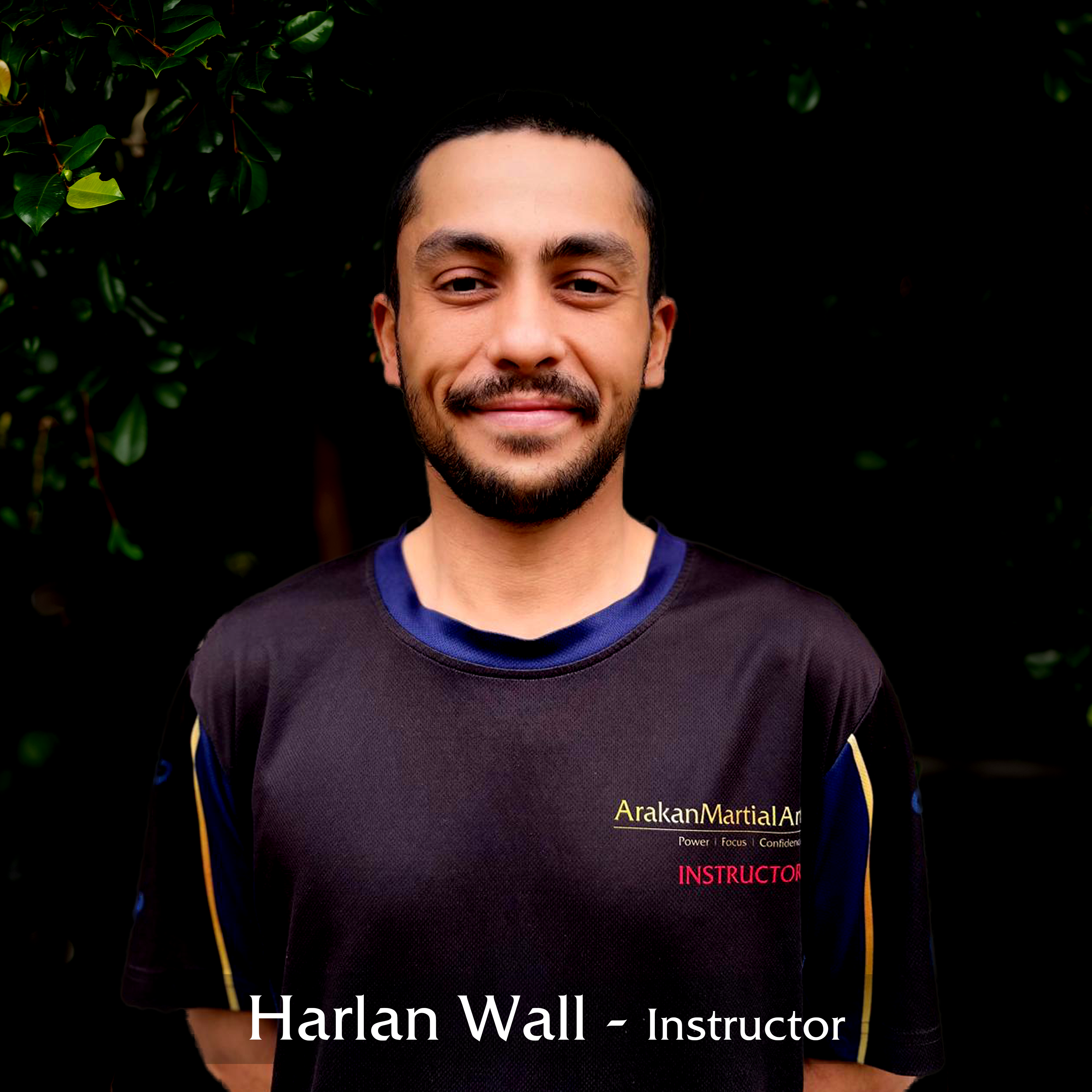 Harlan Wall