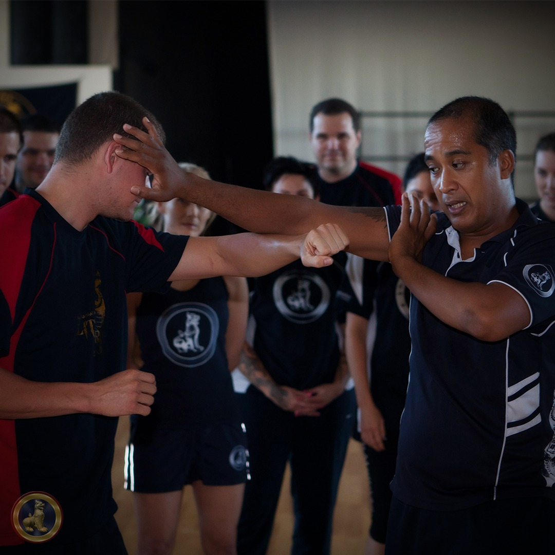 Arakan Martial Art vs Boxing: The Science of the Ring vs the Art of Real-Life Empowerment