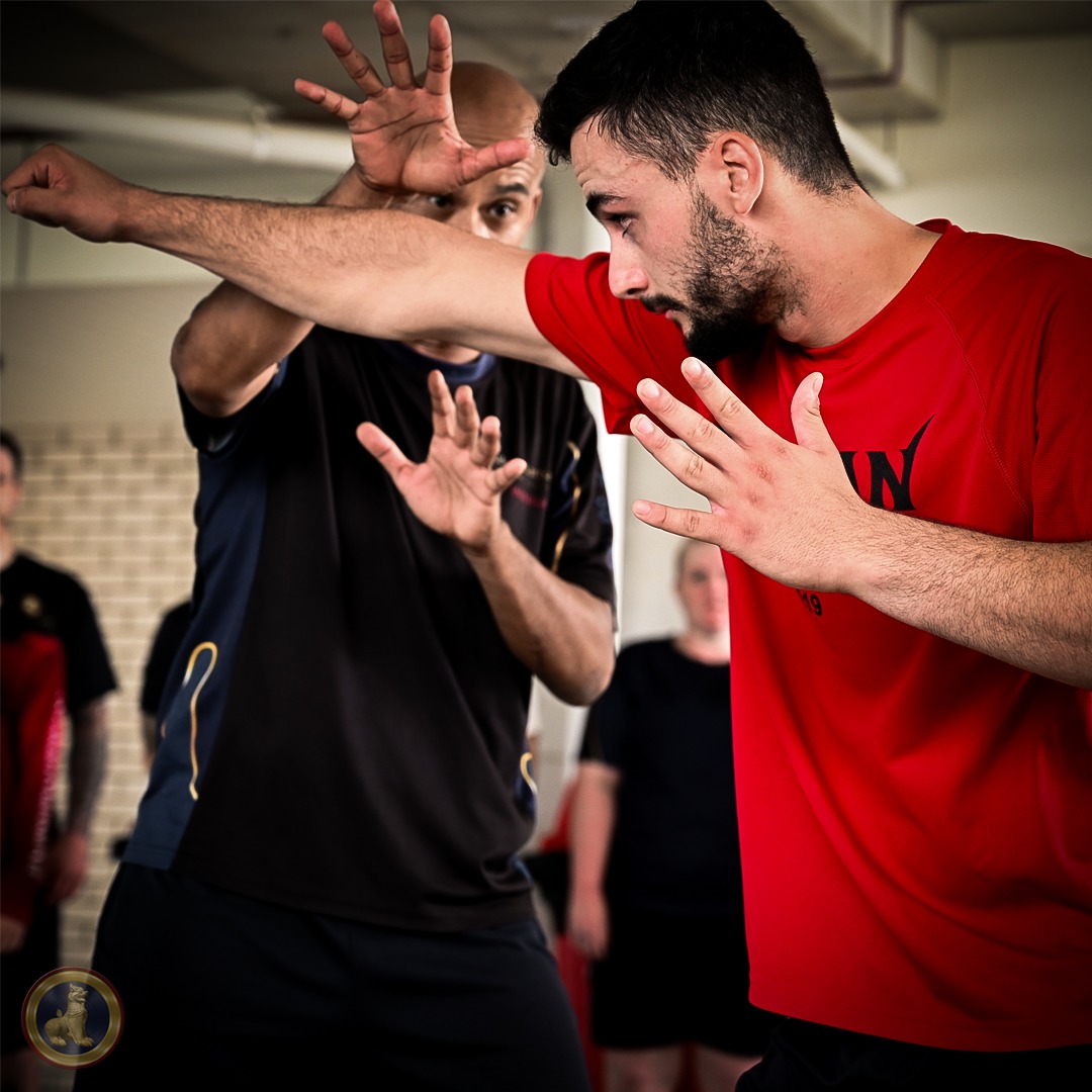 Arakan Martial Art vs Ju Jitsu: Traditional Grappling vs a Living, Evolving Martial Art