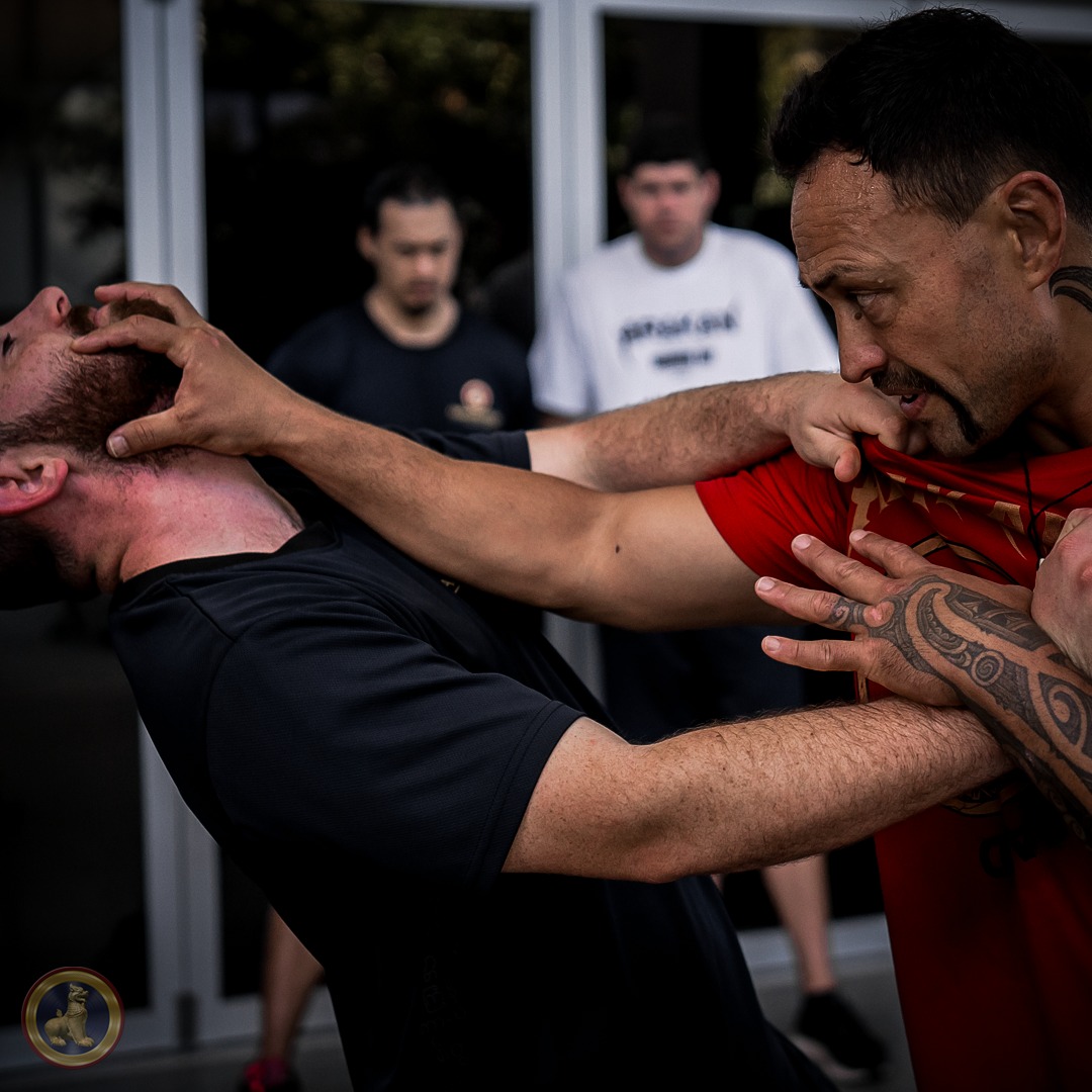 Arakan Martial Art vs MMA: The Martial Sport vs The Martial Path