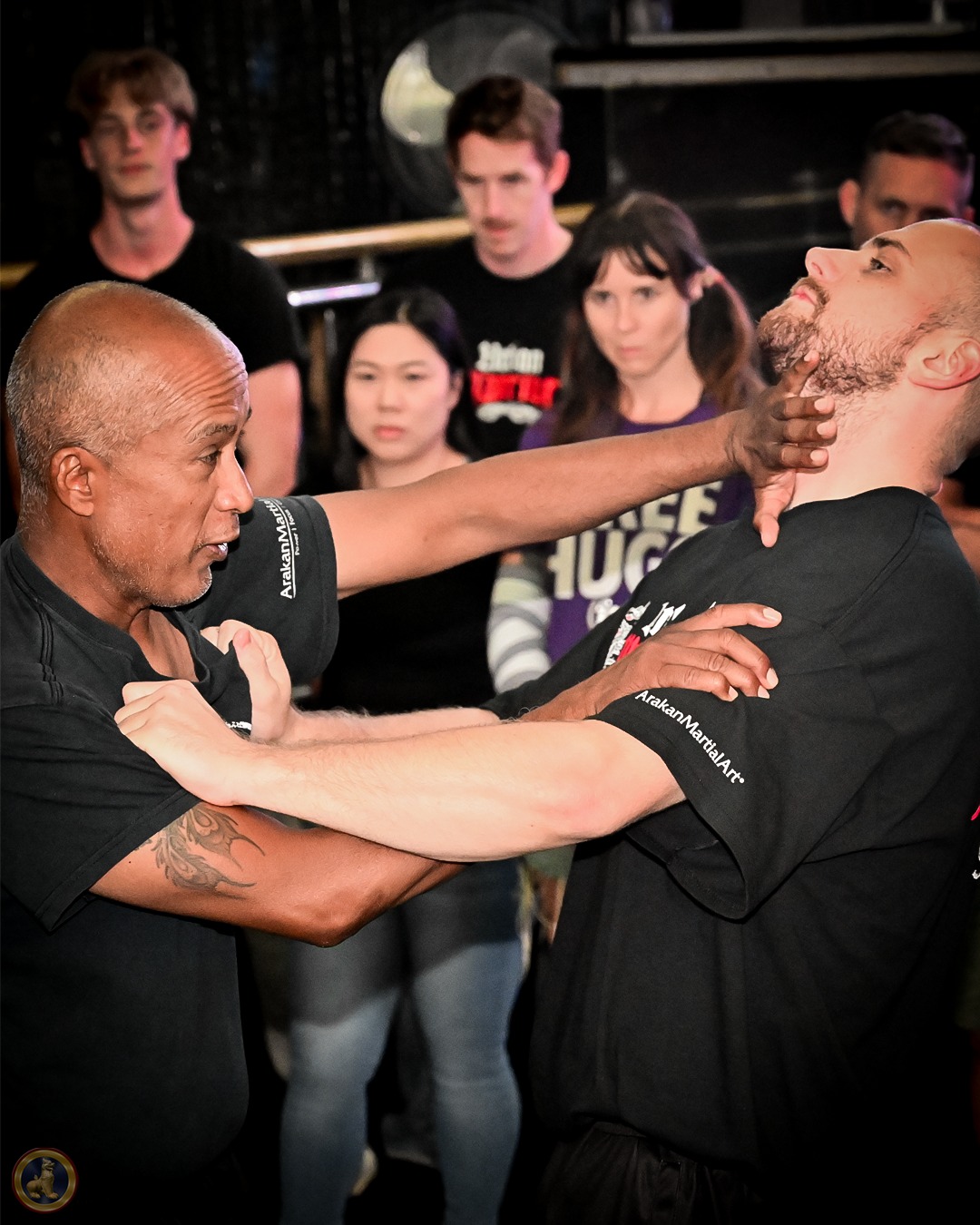 Hormesis and the Arakan Effect: Training That Builds You Stronger Under Stress